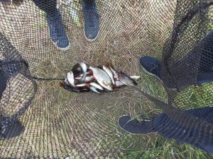 sandacz.info-2025-05-31-piknik-wedkarski-dzien-dziecka-127